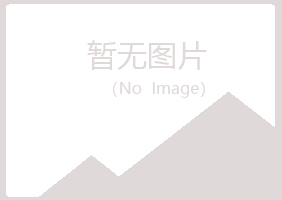 乌兰县夜山能源有限公司